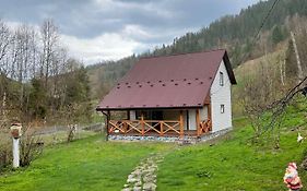Медові Карпати